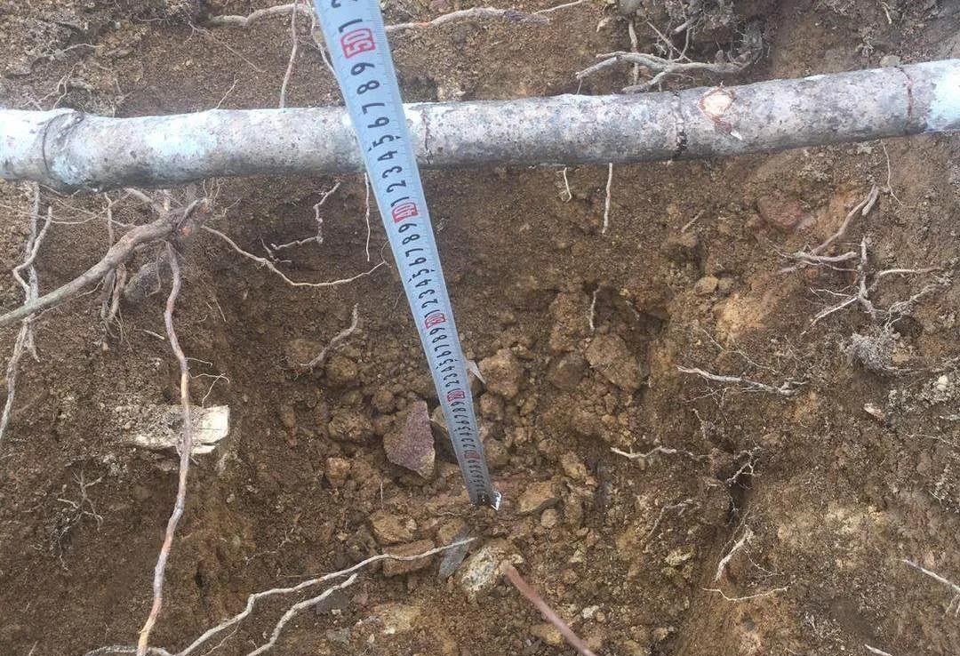 防疫不松懈,生產不耽誤