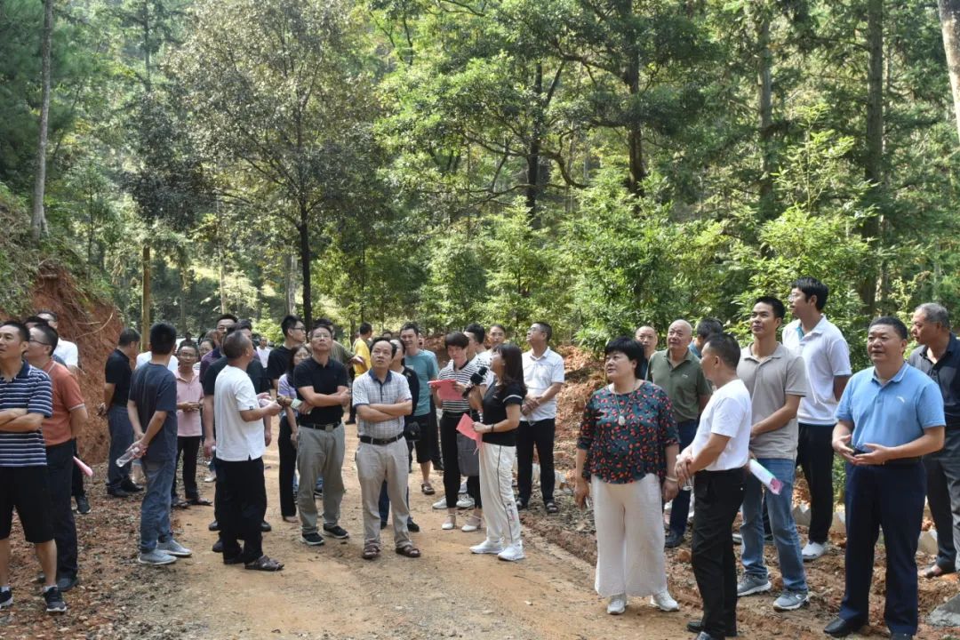 琵琶丘工區(qū):三明市森林質量精準提升工程業(yè)務培訓現(xiàn)場示范 琵琶丘工區(qū):三明市森林質量精準提升工程業(yè)務培訓現(xiàn)場示范